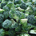 China IQF Frozen Broccoli Floret Vegetables